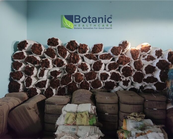 Botanic Healthcare Launches CornFit™ A Breakthrough in Plant-Based Nutraceutical Innovation botanic-healthcare-launches-cornfit