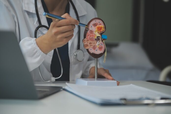 ckd-speeds-cognitive-decline-differently-in-genders