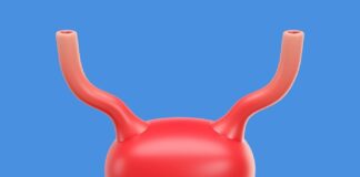 childhood-virus-may-hold-clues-to-preventing-bladder-cancer