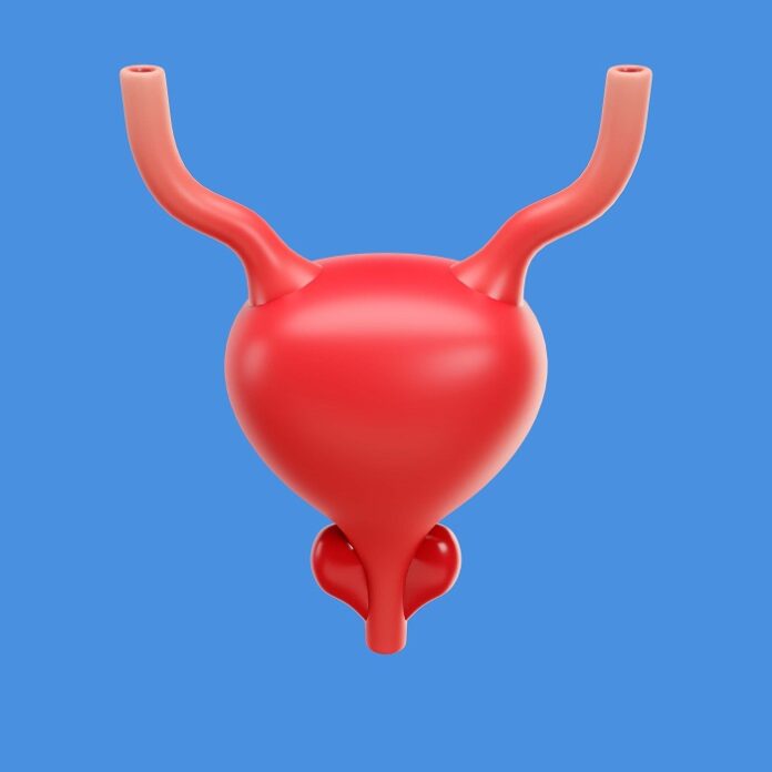 childhood-virus-may-hold-clues-to-preventing-bladder-cancer
