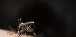 india-advances-on-malaria-still-highest-burden