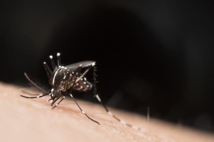 india-advances-on-malaria-still-highest-burden