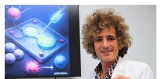 new-organ-on-a-chip-platform-models-aging-immune-responses