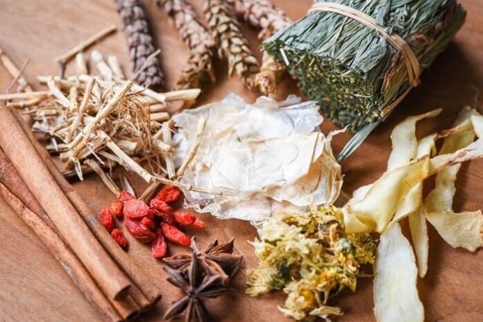 WHO’s Second Global Summit on Traditional Medicine Opens in New Delhi