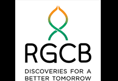 bric-rgcb-study-uncovers-new-insights-into-brain-development