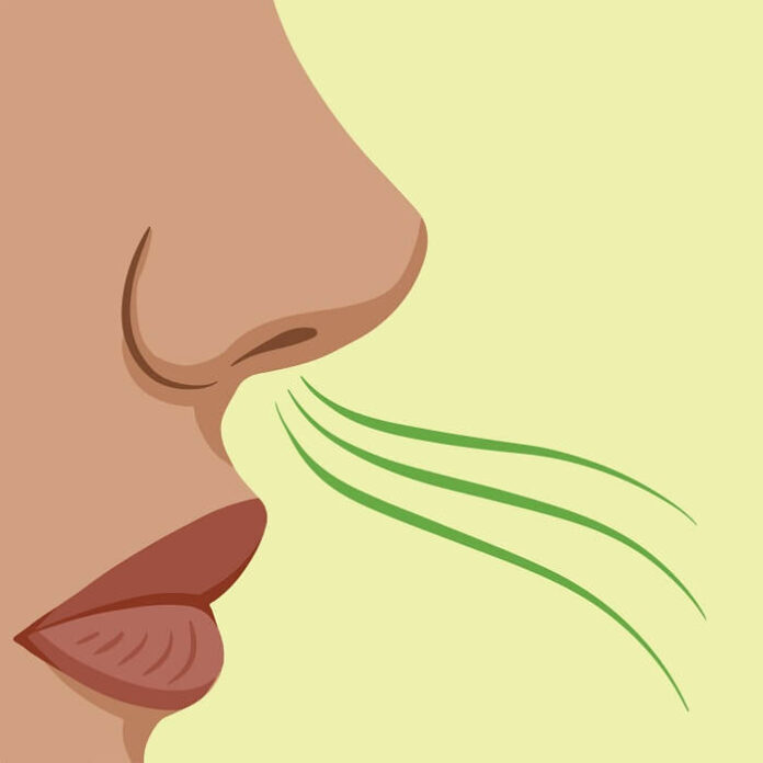 breath-test-may-reveal-gut-microbiome-health-study-finds