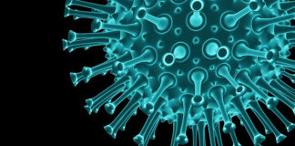 h5n1-alert-issued-in-keralas-iritty-after-infection-detected-in-crows