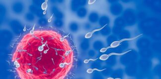 largest-indian-study-identifies-genetic-causes-behind-severe-male-infertility