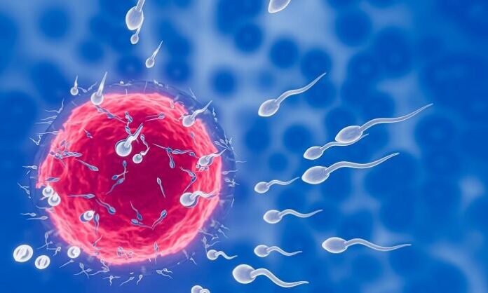 Largest Indian Study Identifies Genetic Causes Behind Severe Male Infertility largest-indian-study-identifies-genetic-causes-behind-severe-male-infertility