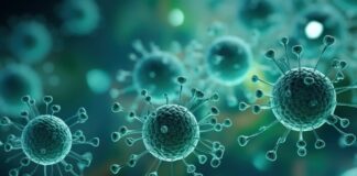 viruses-on-plastic-surfaces-may-accelerate-antibiotic-resistance