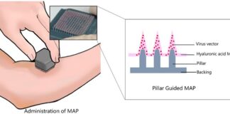 3d-printed-microneedle-patches-show-promise-for-next-generation-covid-19-vaccines