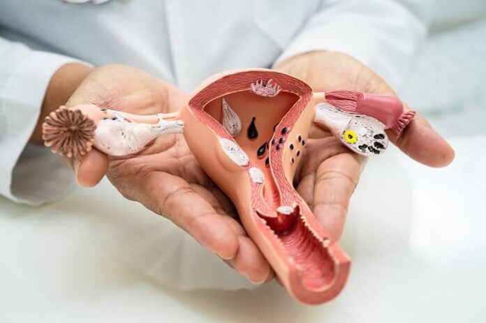 ICMR-NIRRCH Study Reveals Silent Infections Alter Cervical Microbiome in Healthy Women