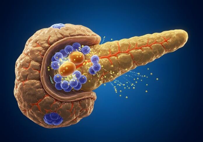 Novocure Expands Tumor Treating Fields Into Pancreatic Cancer Care (1)