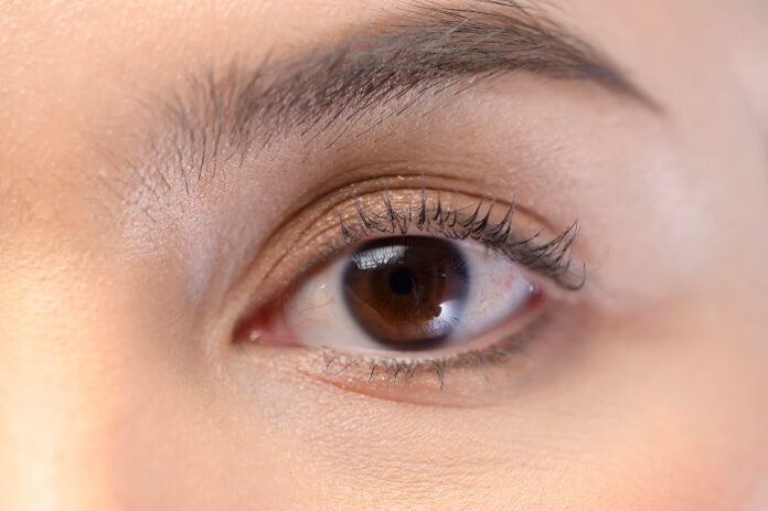 District Hospital in Kerala Performs Five Corneal Transplants in Six Weeks