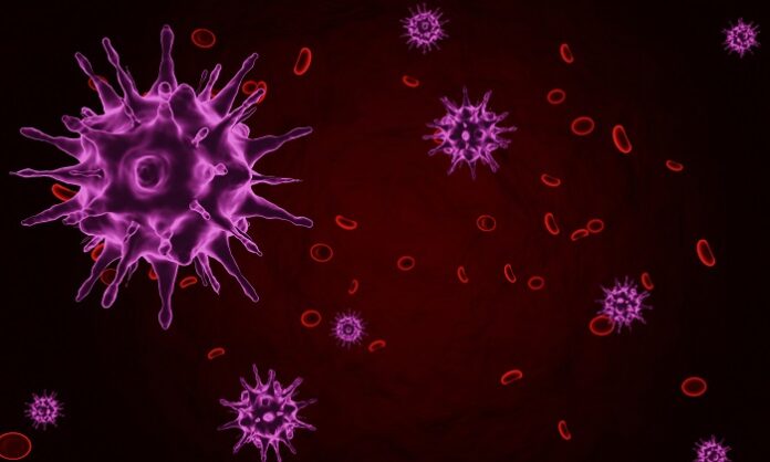 Hidden Virus in Gut Bacteria May Offer New Clues to Colorectal Cancer