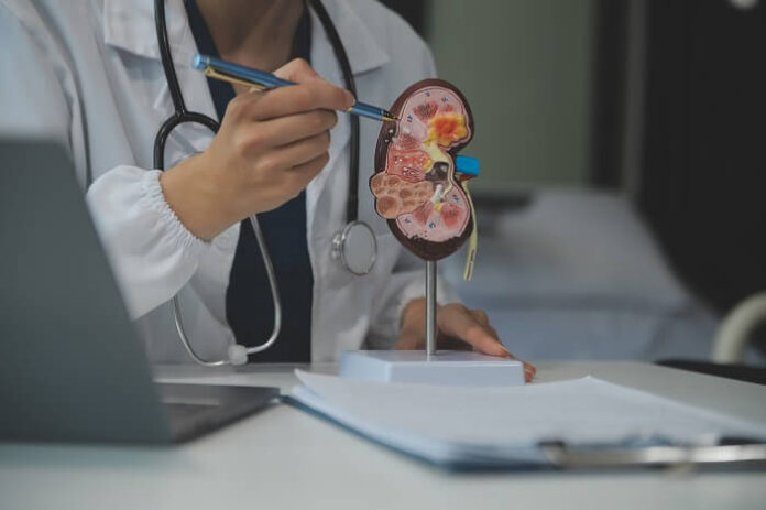 Pilot Study Reveals Hidden Burden of Chronic Kidney Disease in Andhra Pradesh (1)