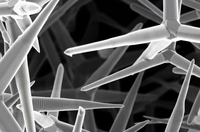 Scientists Develop 3D Aerohydrogel to Study Brain Cell Communication