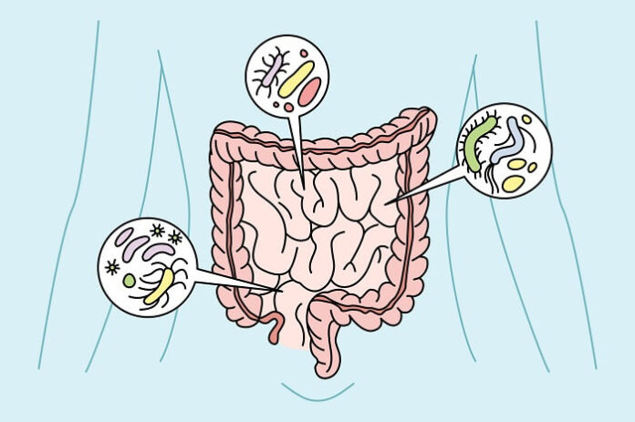 Gut Microbiome Changes Linked to Early Parkinson’s Risk, Study Finds