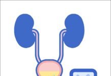 Heatwave Health Crisis: How Rising Temperatures Are Triggering Kidney and UTI Cases