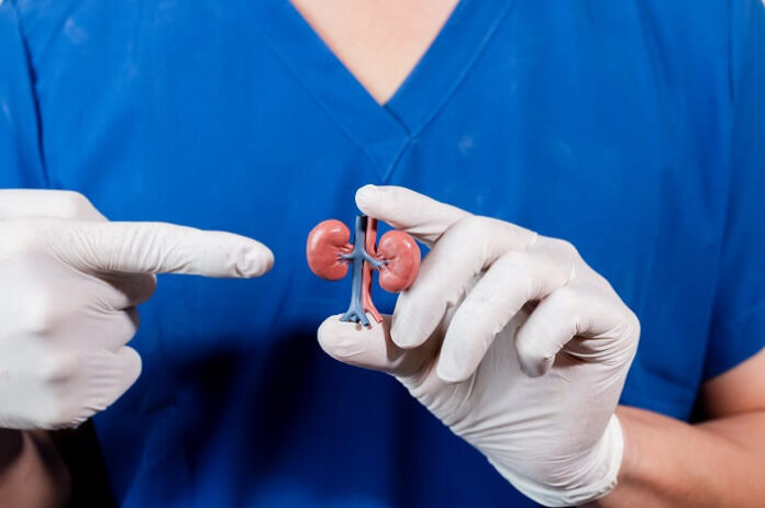 IISc–Aster Collaboration Advances Biodegradable ‘Asthana Stent’ Toward Hospitals (1)