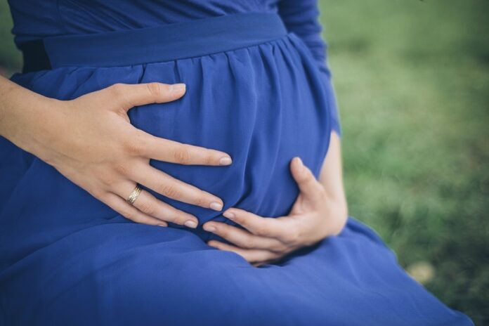 pregnant belly holding by hands