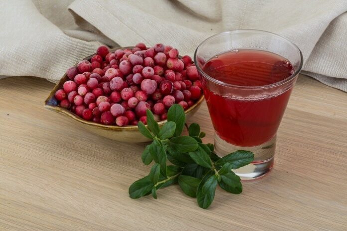 Cranberry Juice Shows Promise in Supporting Antibiotics Against UTIs (1)
