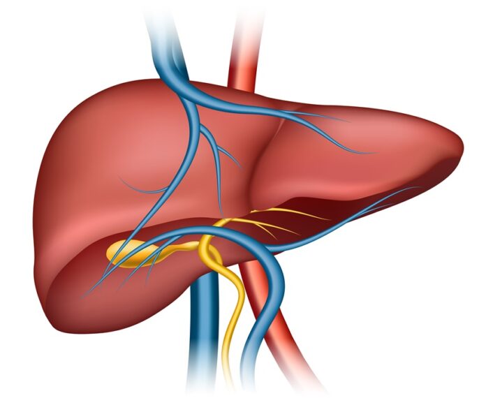 Fortis Hospital Shalimar Bagh Saves Two Patients with Rare Liver-Heart Surgeries