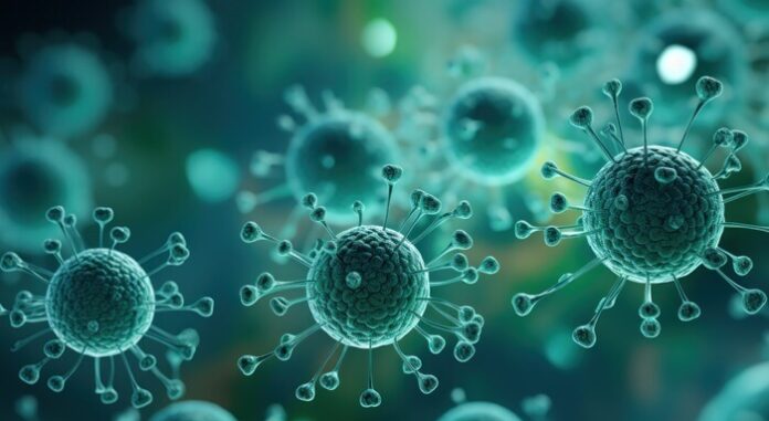 ICMR Says Cruise Ship Hantavirus Cases Pose No Immediate Threat to India (1)