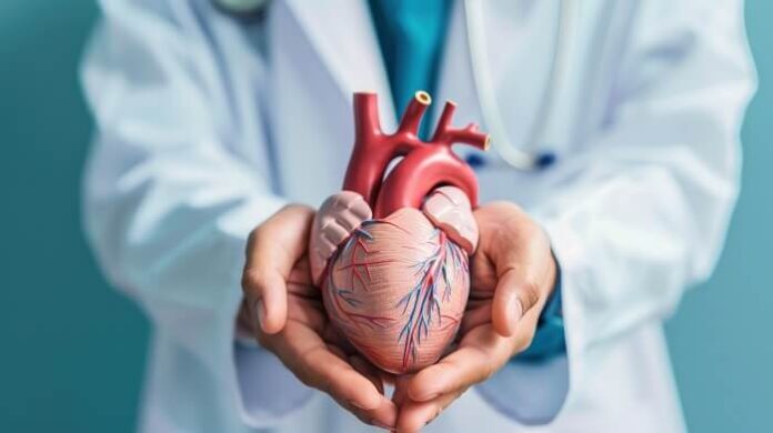 Mammograms May Reveal Hidden Heart Disease Risks in Women (1)