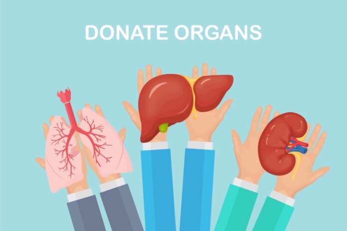 India Crosses 5 Lakh Organ Donation Pledges, Signalling Growing Public Support