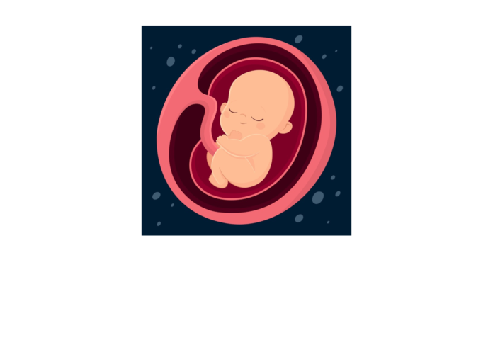 Modern IVF Improves Success Rates with Single Embryo Transfer