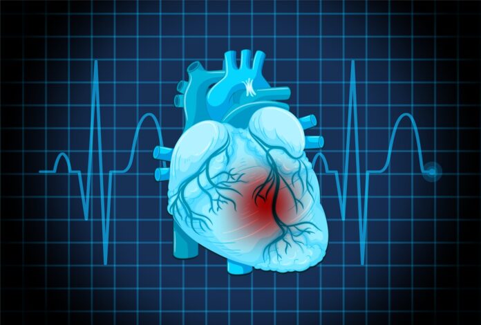 Kerala Nurses Perform CPR to Save Heart Attack Victim Stuck in Traffic