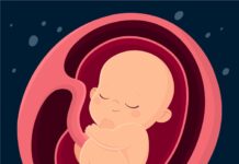 Modern IVF Improves Success Rates with Single Embryo Transfer