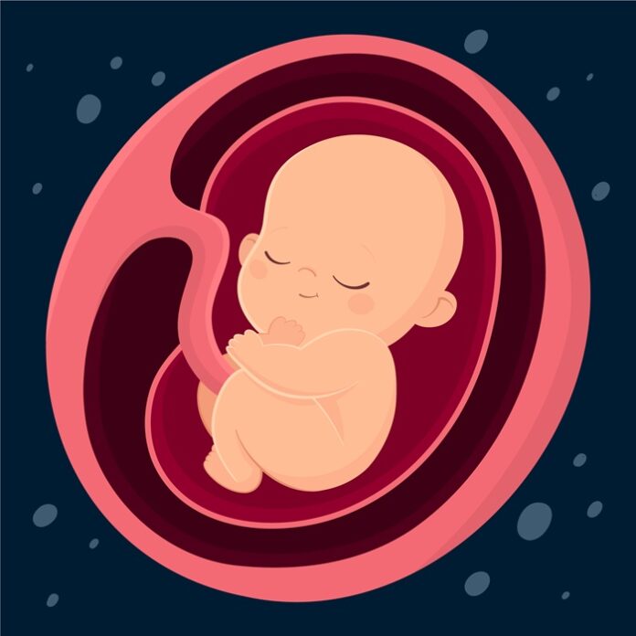 Modern IVF Improves Success Rates with Single Embryo Transfer