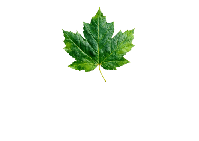 Tata Memorial Hospital’s Papaya Leaf Study Faces Global Scrutiny