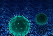 Gujarat Reports 22 Child Deaths from Chandipura Virus During Monsoon