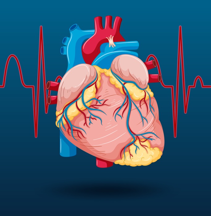 71-Year-Old Woman With Severe Aortic Stenosis Undergoes TAVI Despite Bleeding History
