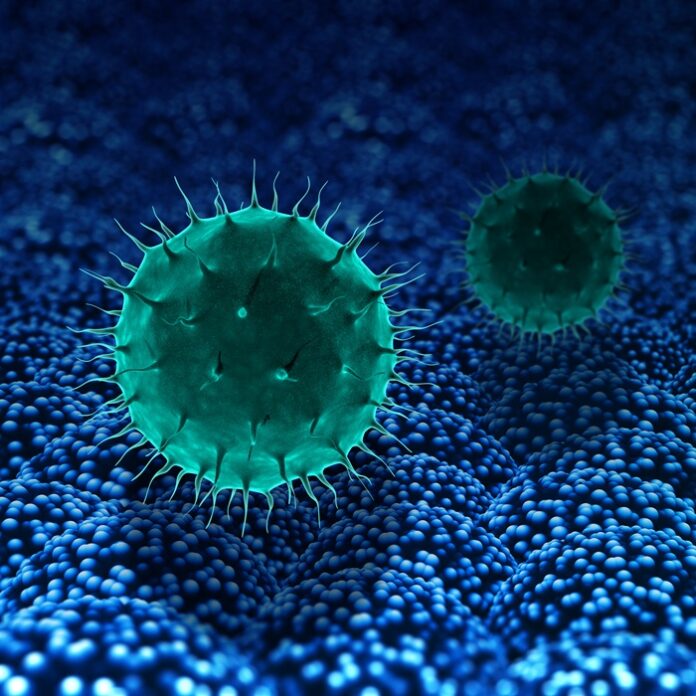 IIT Madras Patents New Polymer Technology to Destroy Harmful Bacteria