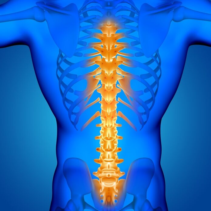 3D male medical figure with spine highlighted