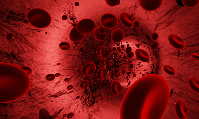Red blood cells in an artery or blood vessel , flow inside body
