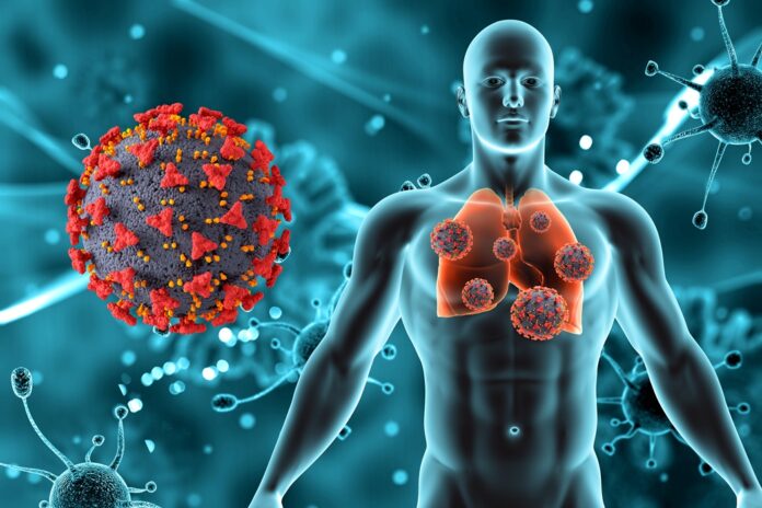 3D medical background with male figure and lungs and Covid 19 vi